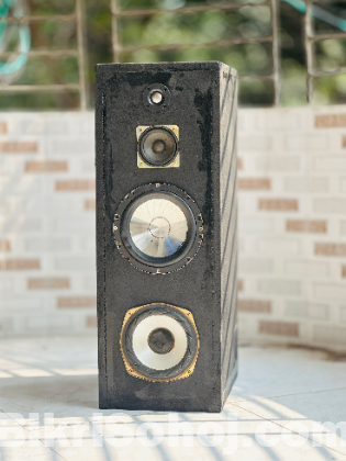 12 Inch 2.1 Pioneer Sound System